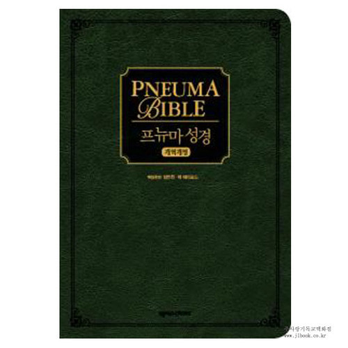프뉴마 성경(다크 그린 무지퍼형)