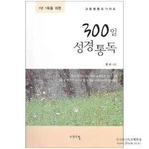 300일 성경통독 : 1년 1독을 위한 그룹별통독가이드 / 윤석 저