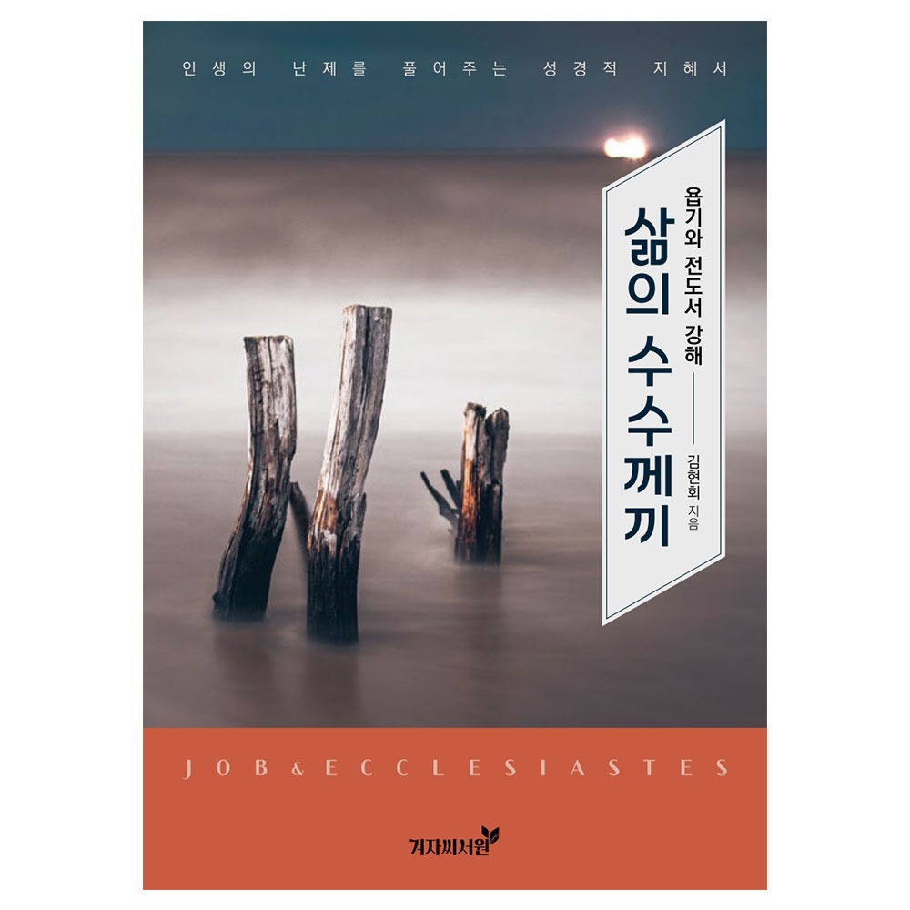 삶의 수수께끼(욥기와 전도서 강해) - 김현희